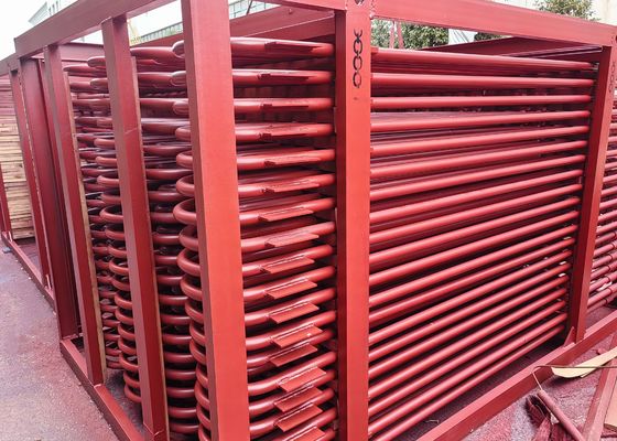 Platen Superheater And Reheater